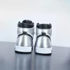 Air Jordan 1 Retro High OG ‘Silver Toe’ CD0461-001 (Wmns)