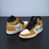Air Jordan 1 High Element GORE-TEX ‘Light Curry’ DB2889-700