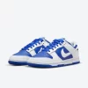 Dunk Low ‘Racer Blue White’ DD1391-401
